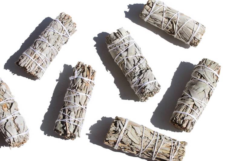 tocha-salvia-branca-california (1) tocha salvia branca california 1