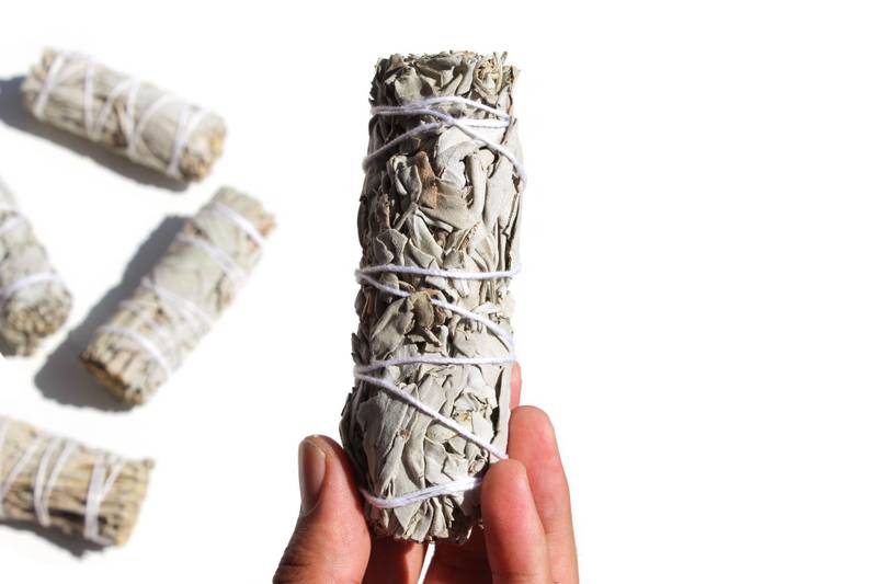 tocha-salvia-branca-california (2) tocha salvia branca california 2